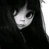 npnp.mar