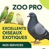 zoo.pr