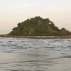 tall75yta