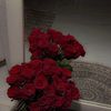 noor20n3