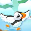 puffin_f