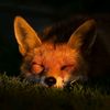 night_10_18