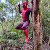 spidergay01