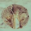 lunephobia
