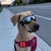 river_the_mastador