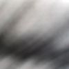 coolbou22921