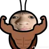 iidotiktoko75