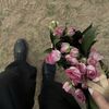 shammari_7