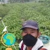 ekosantoso90835