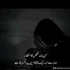 m..nasir.512