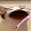 ktftt123