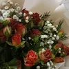 saly.38