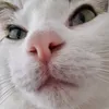 mimi_love064