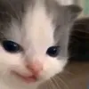 ._.utu