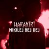 mikilej3733