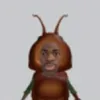 _ngwyq