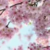 zosia._02137