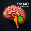 smartanatomy