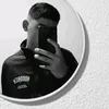 ibra_zal8