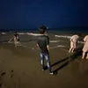 vanhai123456712