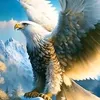 user7275116106070