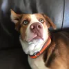 ellagotnolive