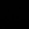aseel_1321