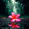 nusrat478536797643
