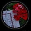 kh.kht5