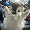 theemo19