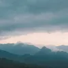taotau97