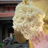 quyendanhcaulong