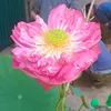 user2gobzufdn3