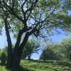 rayta09_