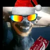 cleitin_o_pinscher