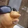 berniehayes301