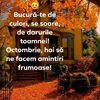 danut.emil