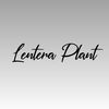 lentera.plant