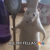 alex_xd310