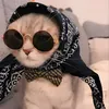 زَهـراء