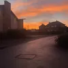 callumpartridge22