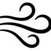 The wind