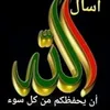 fatimalaaouini378