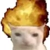 ablughodgc