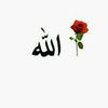 lamisahmed223
