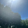 zzziadddd__