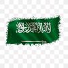 alqisar2030