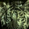 alestairthompson9