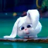 mr_ekaaa