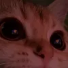 ninyyyy89